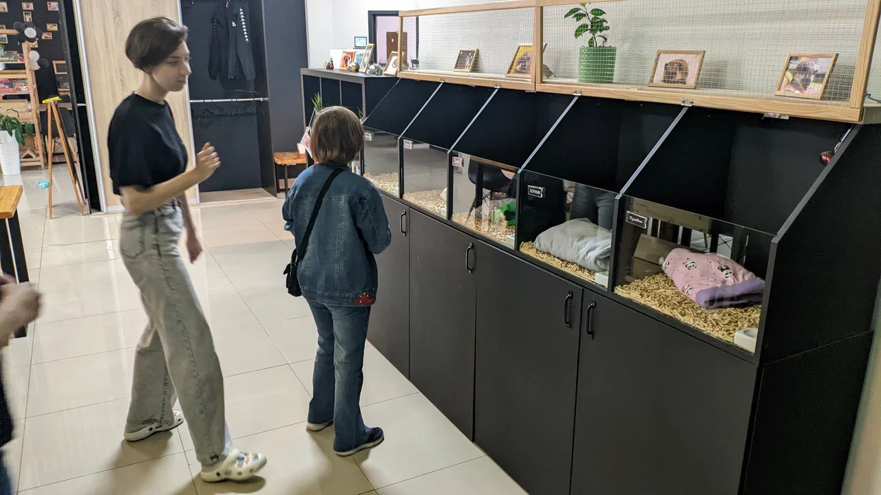 Фото Антикафе "Ежеминутка" - развлечение в Москве | Досугатор